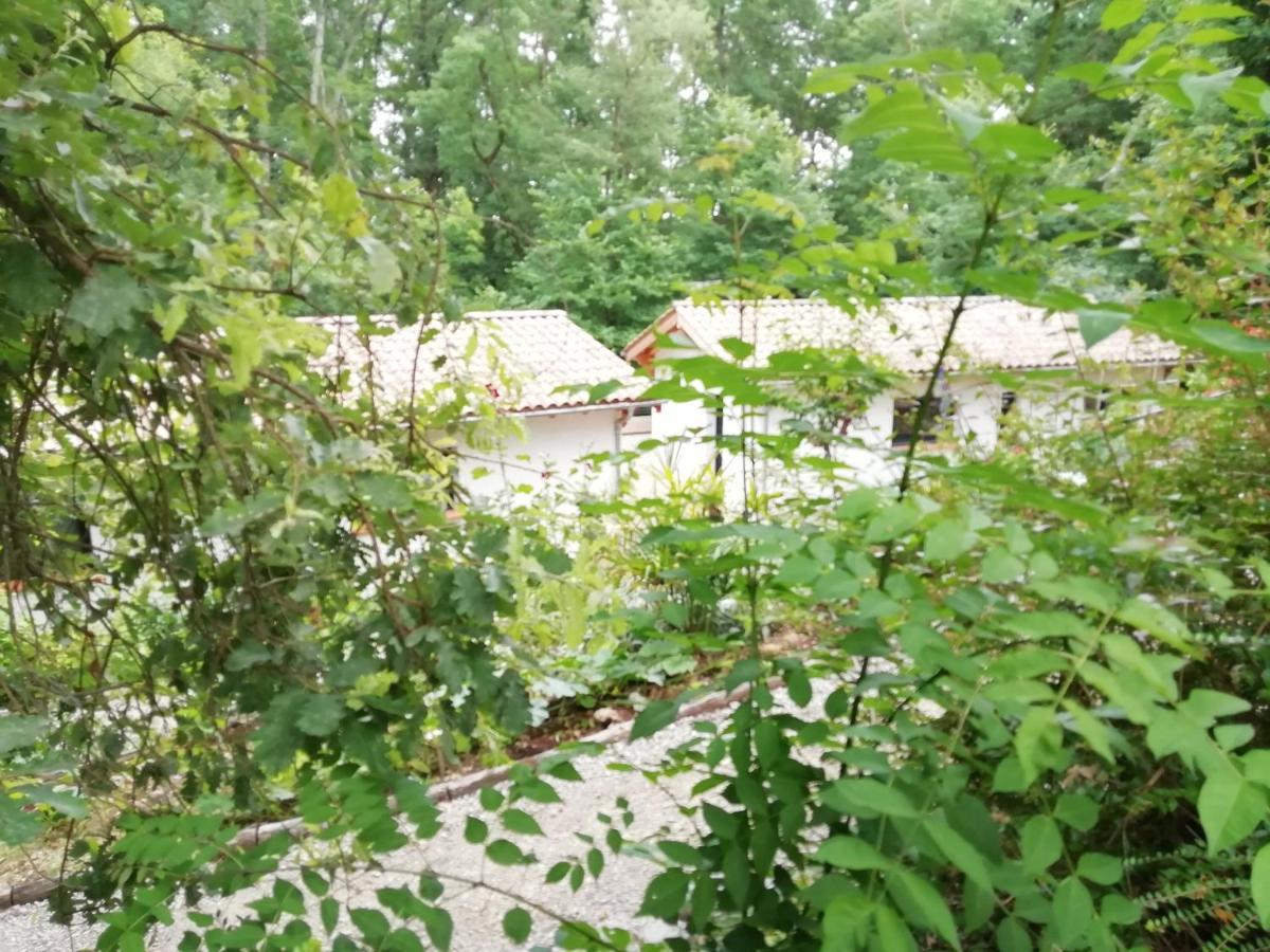 Pause Nature. Maison Ananda A 14 Kms De Toulouse Avec Parking Privatif Lapeyrouse-Fossat Extérieur photo